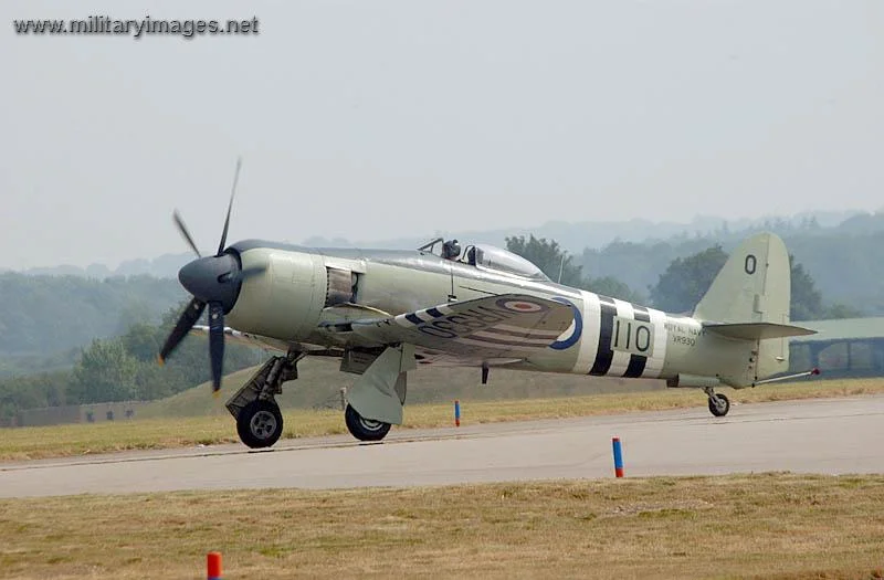 Royal Navy Sea Fury