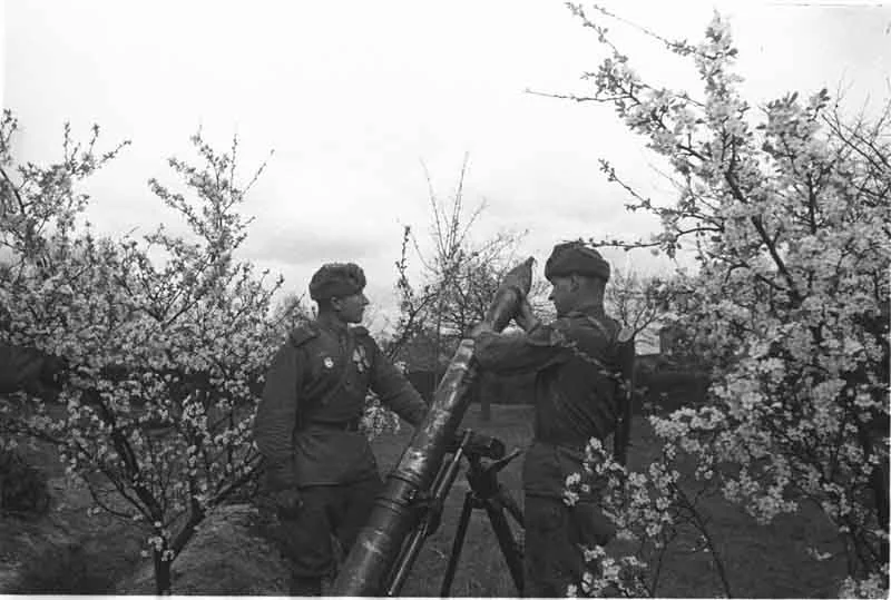 Russian Troops in Action