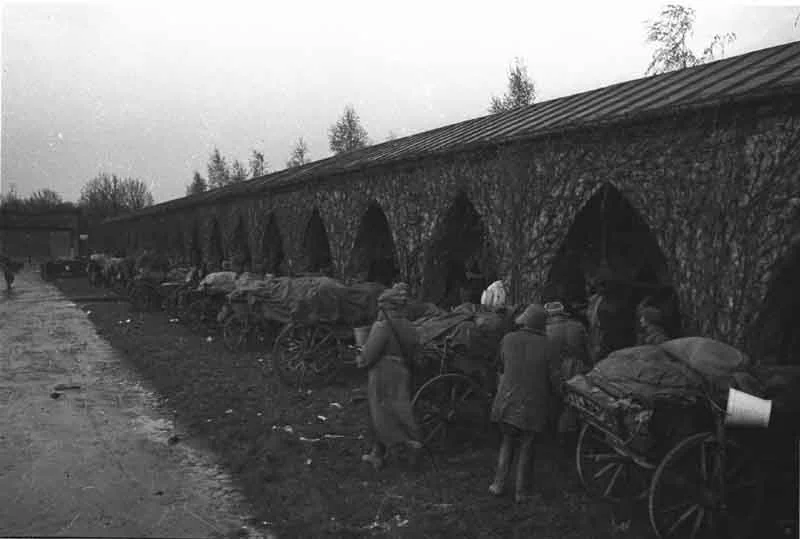 Russian Troops in Action