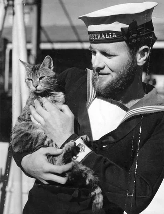 Sailor from HMAS Australia with the ships cat