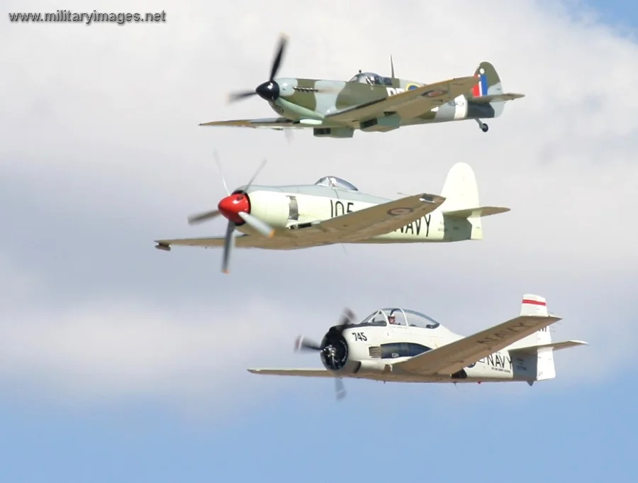 SeaFury, Spitfire and Trojan