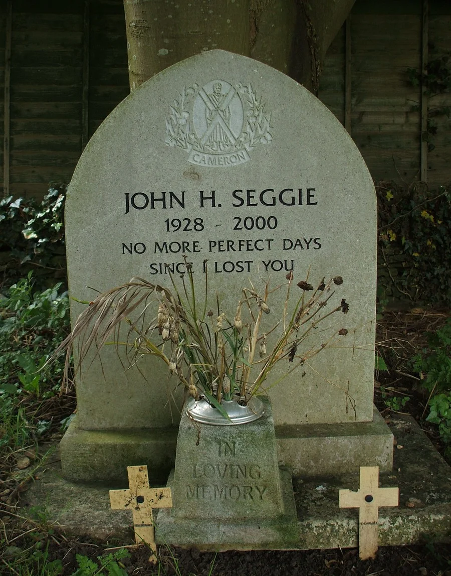 Seggie John H