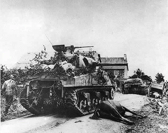 Sherman tanks