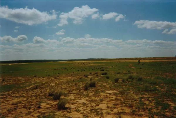 Sicily Drop Zone