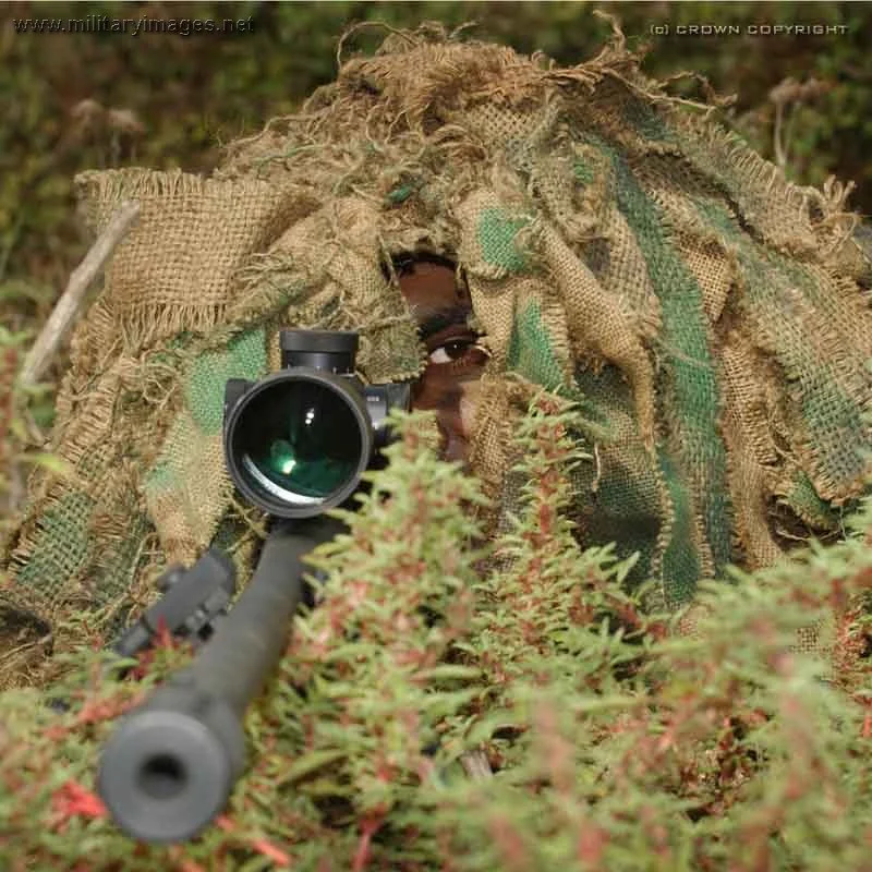 Sniper's Eye