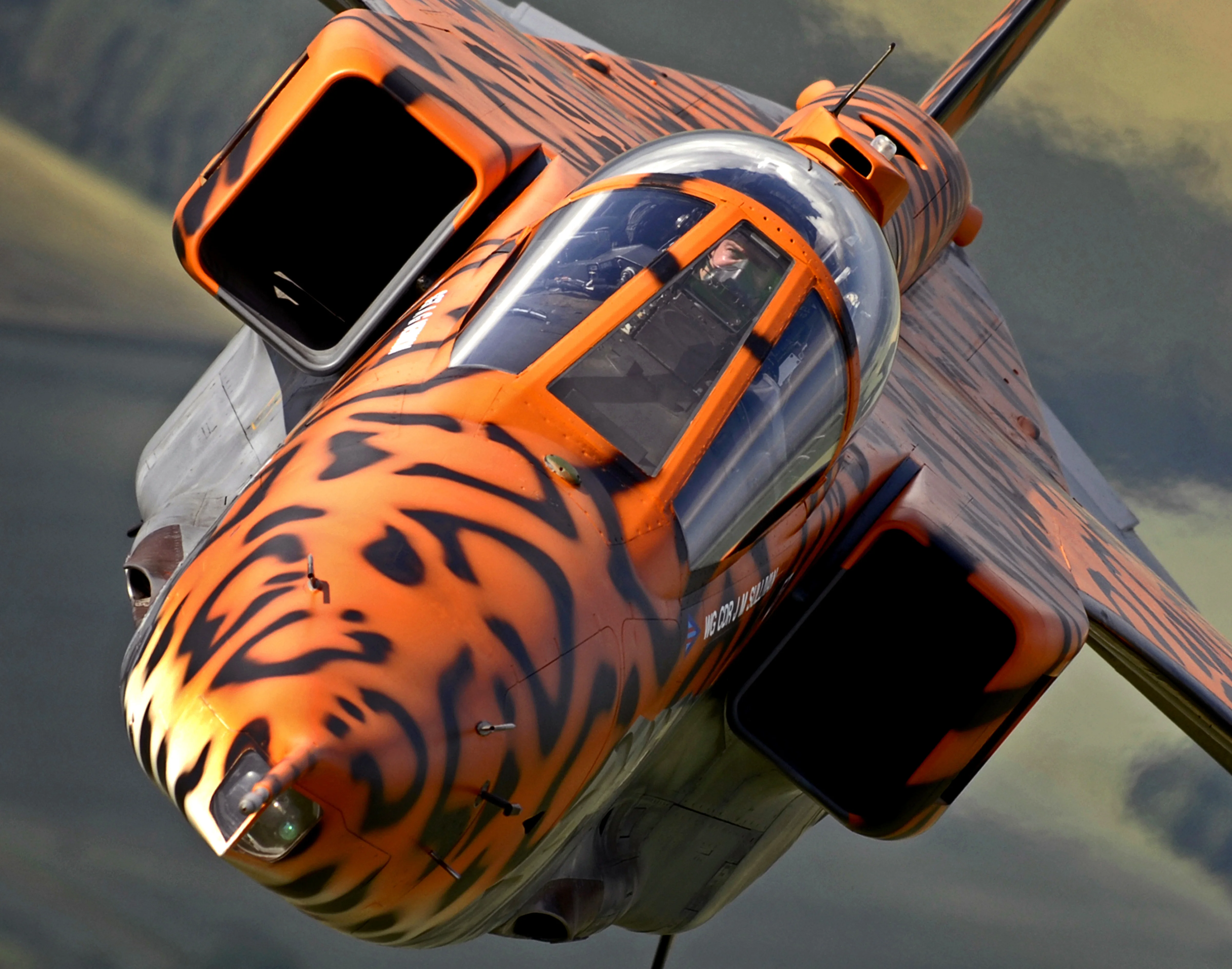 Specially painted Jaguar takes to the skies over RAF Coningsby for a final flight