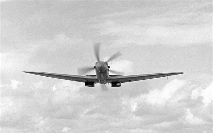 Spitfire in Flight