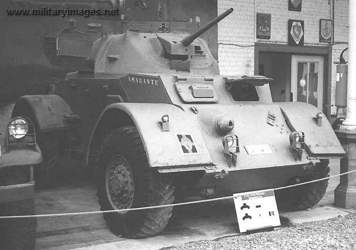 Staghound