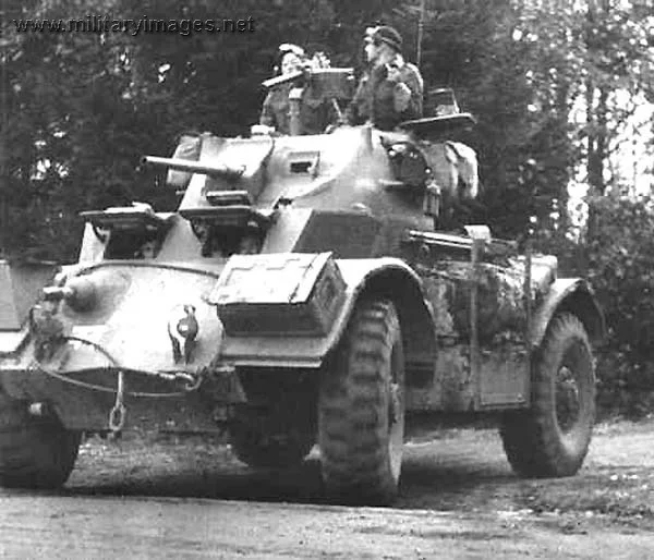 Staghound