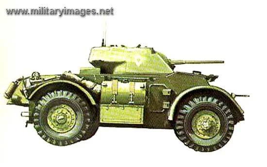 Staghound