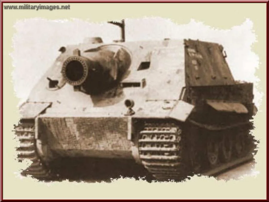 STURMTIGER