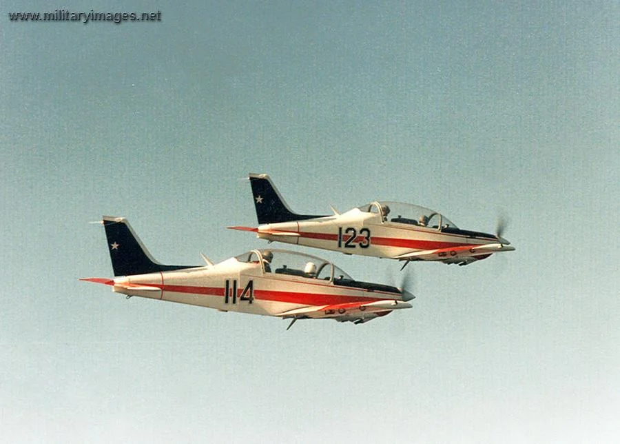 T-35 Pillan - Chilean Air Force