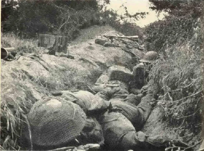 The Anzio Wadis