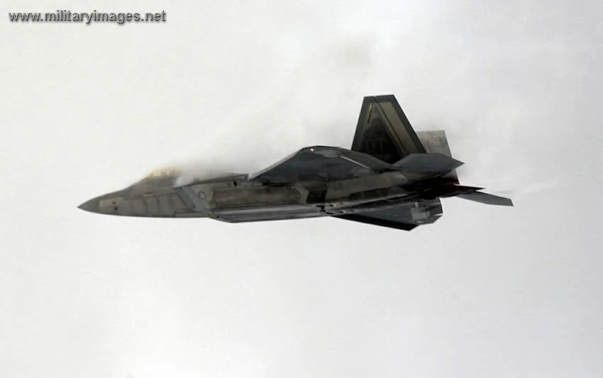 The F-22 Raptor