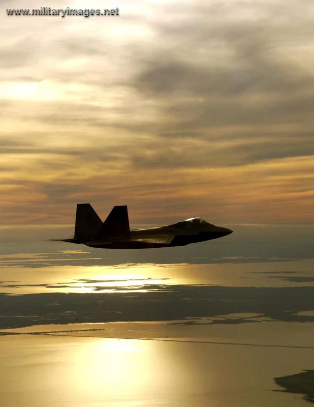 The F-22 Raptor