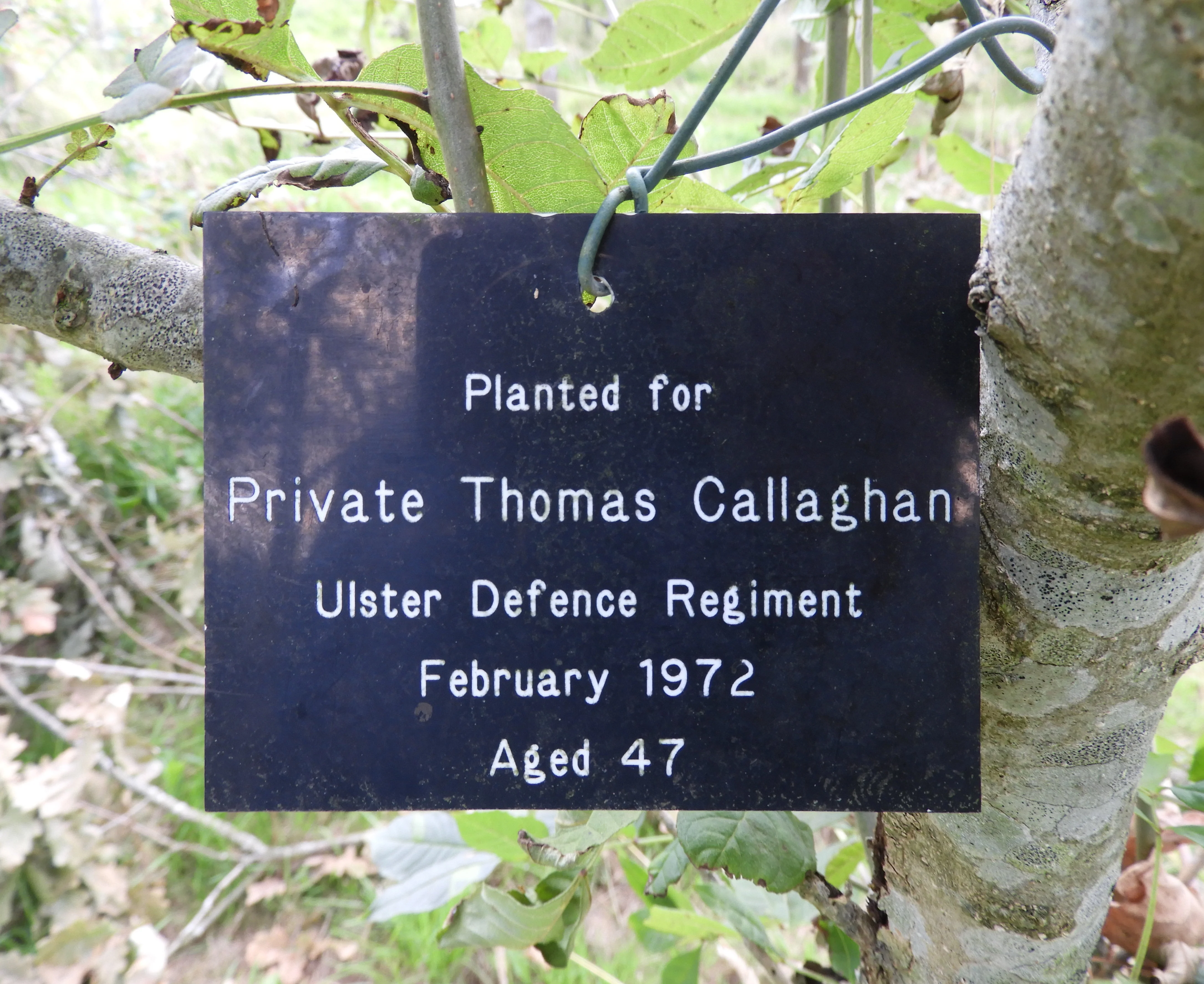 Thomas CALLAGHAN