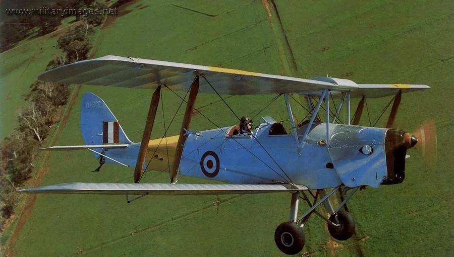 Tiger Moth