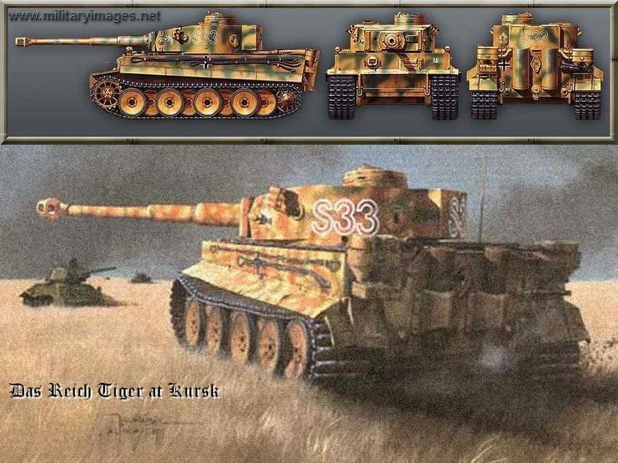 tiger1 S33