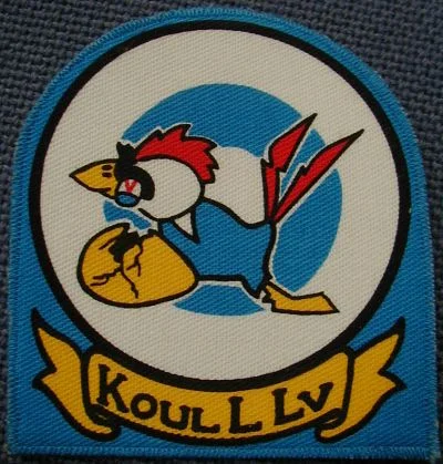 Training squadron sleeve badge | A Military Photos & Video Website