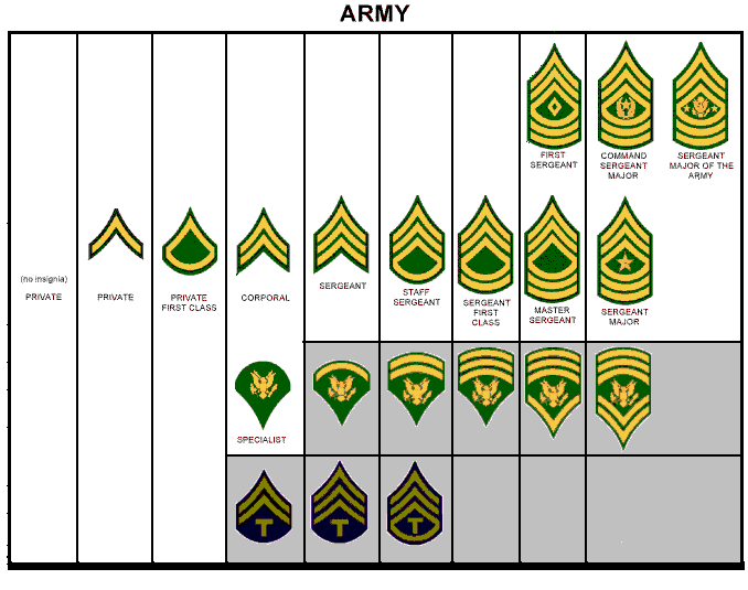 US Army Ranks Enlisted | MilitaryImages.Net