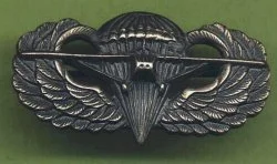 US Glider Infantry Badge