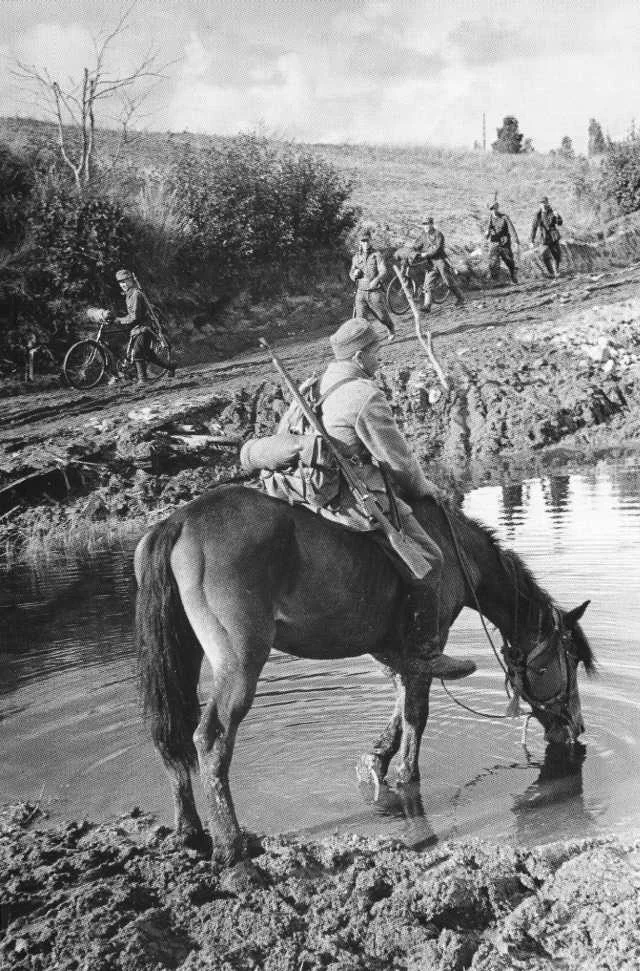 Watering the horse