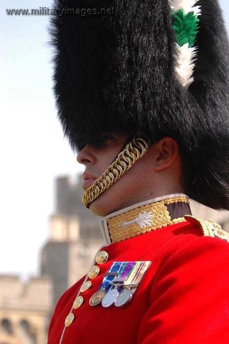 Welsh Guards