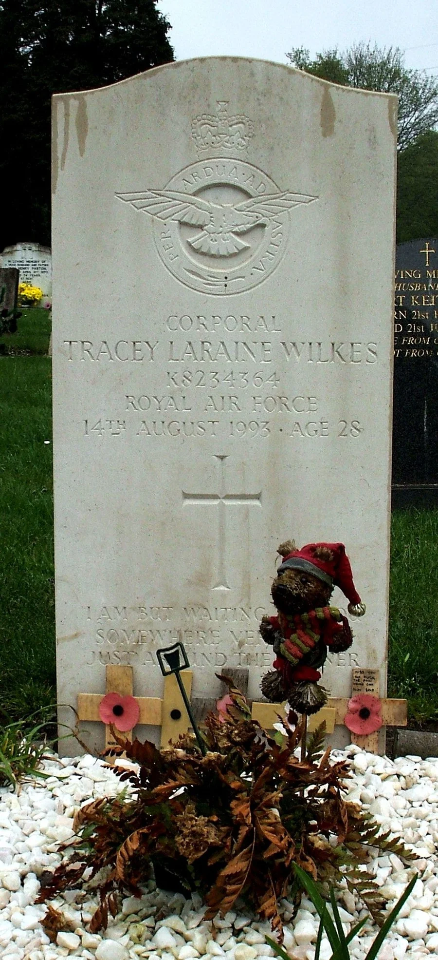 Wilkes Tracey Laraine