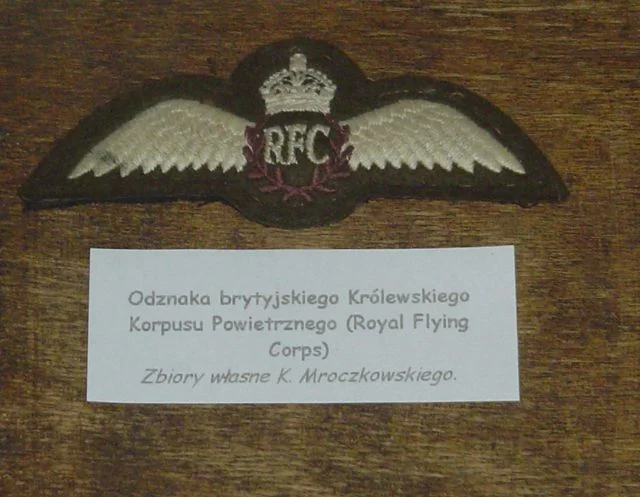Wings