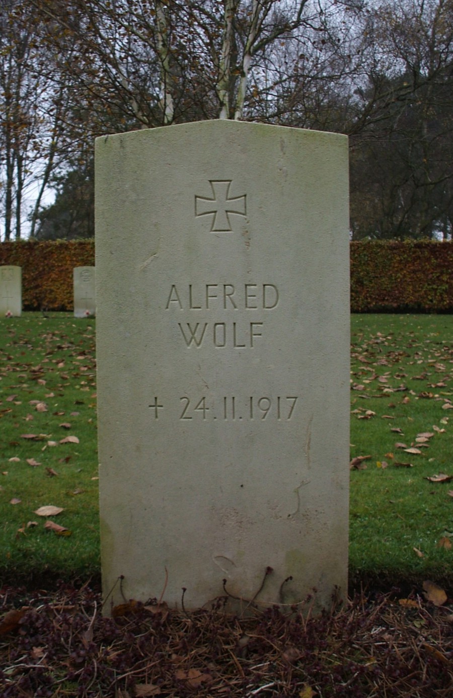 Wolf_Alfred