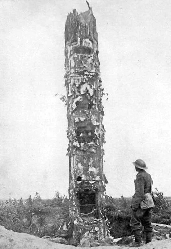 WW1 German observation post disuised as a tree