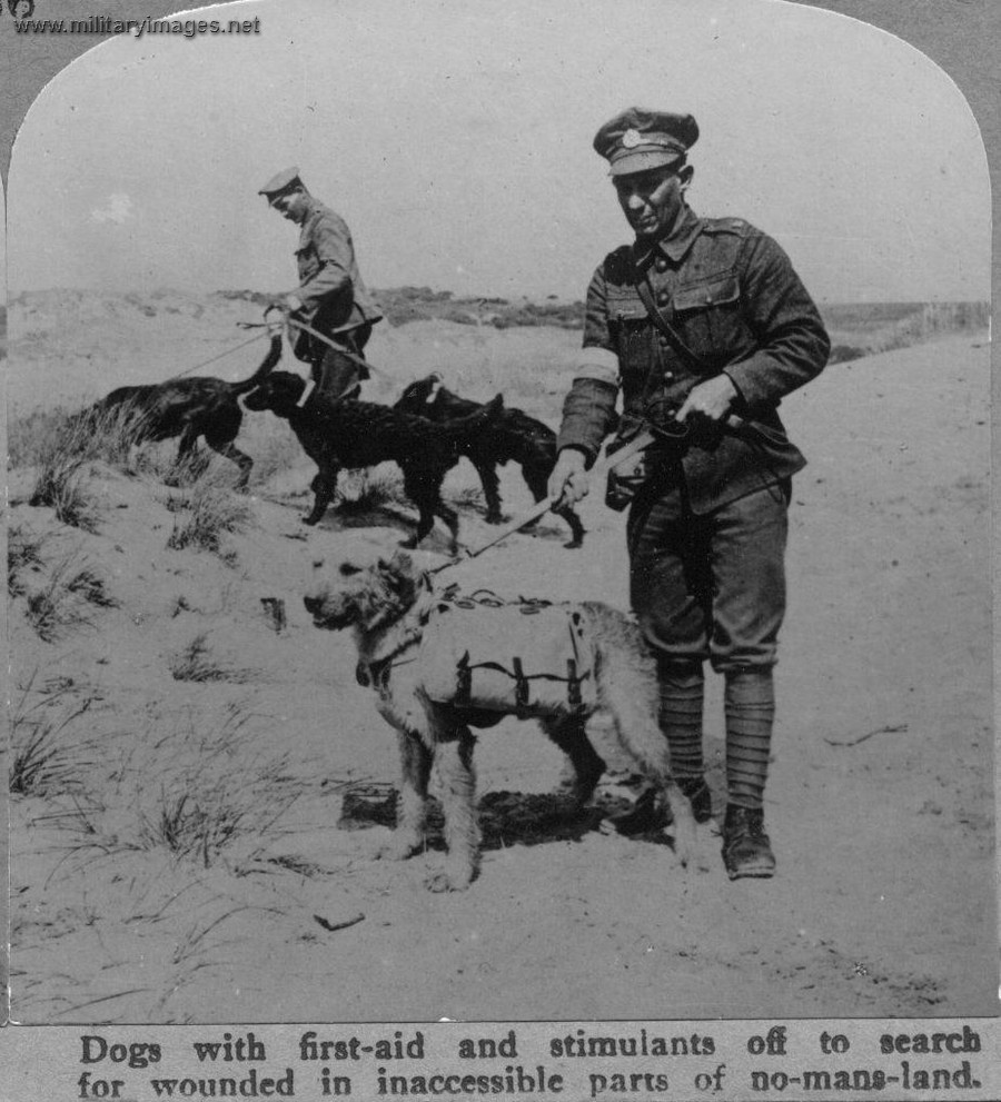 WWI_dogs