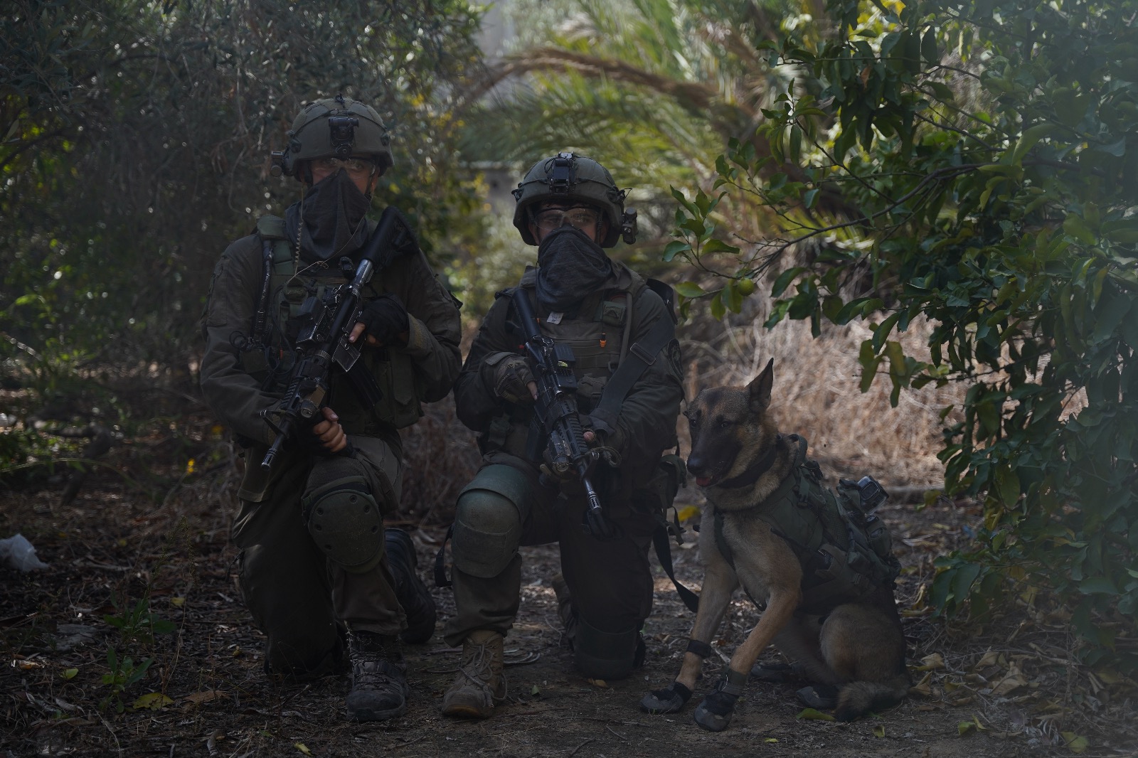 www.timesofisrael.com
