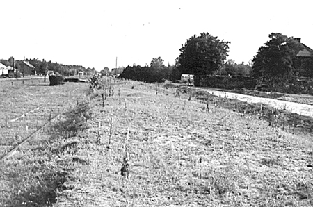 The%20Sobibor%20ramp.jpg