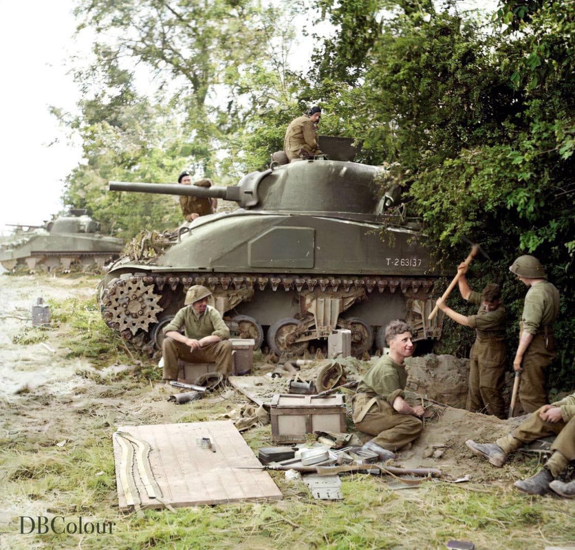 British-Infantry-of-49th-Division.jpg