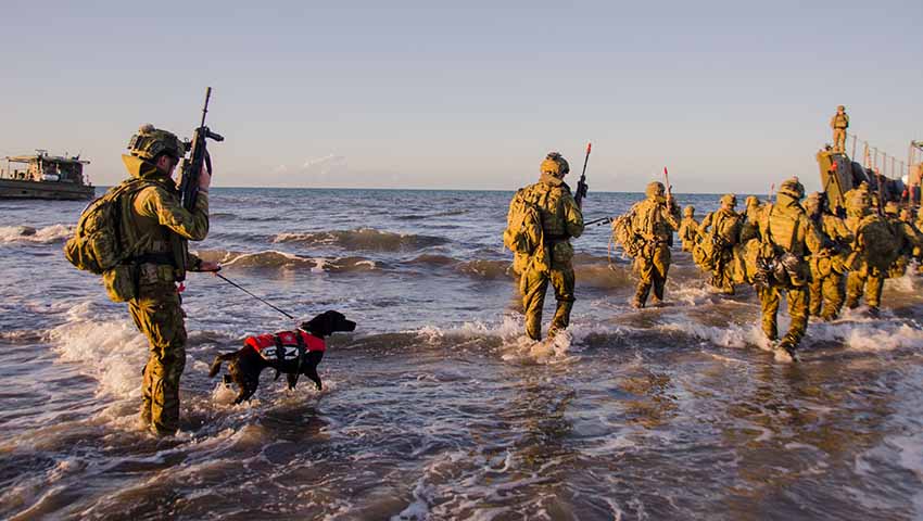 Amphibious-Operations-11-dc.jpg